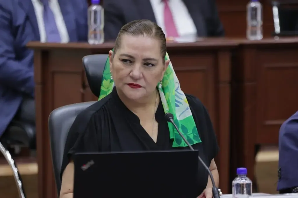 VIDEO | Guadalupe Taddei: México No Se Quedará Sin Información Electoral