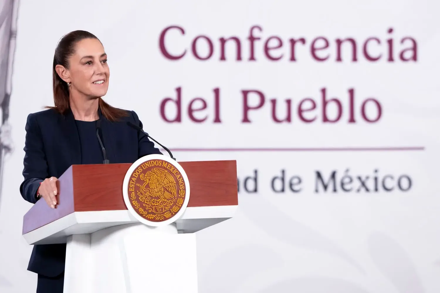 VIDEO | Reforma Electoral: El Plan B llega al Senado
