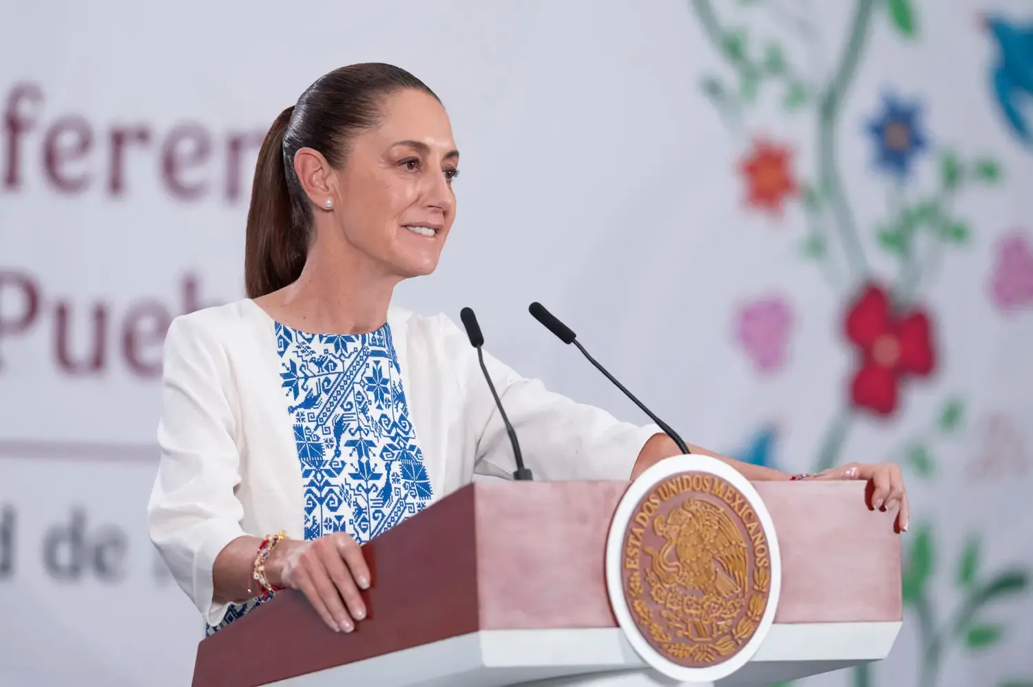 VIDEO | Gobierno No Protege a Nadie Contra Corrupción 