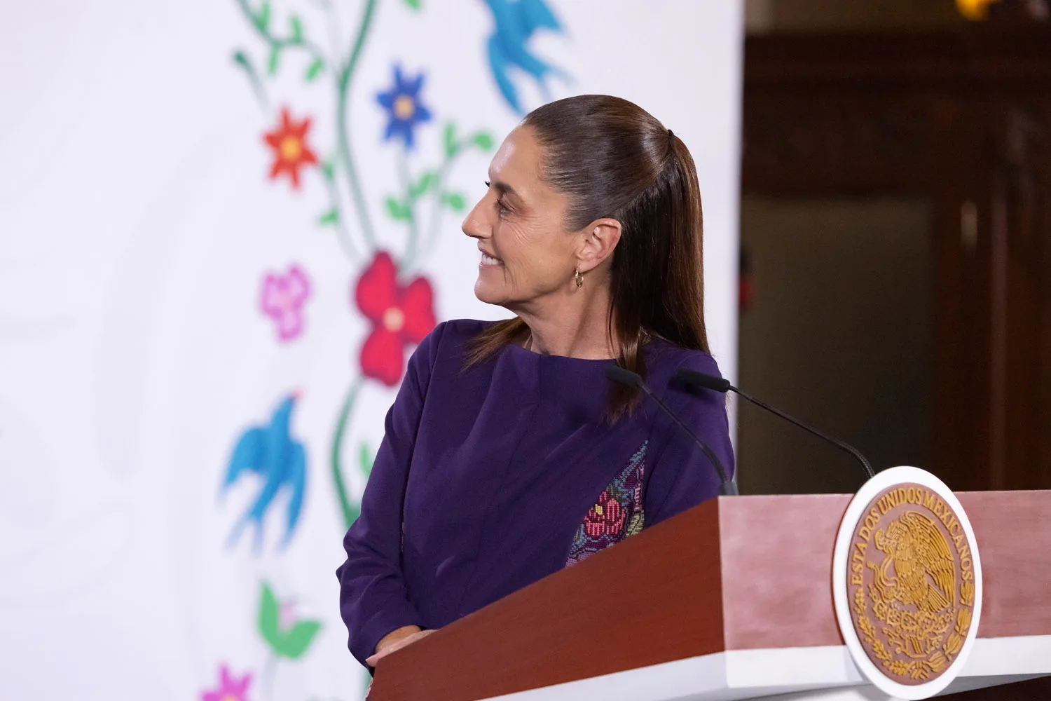 VIDEO | México y EU: Colaboración sin Subordinación
