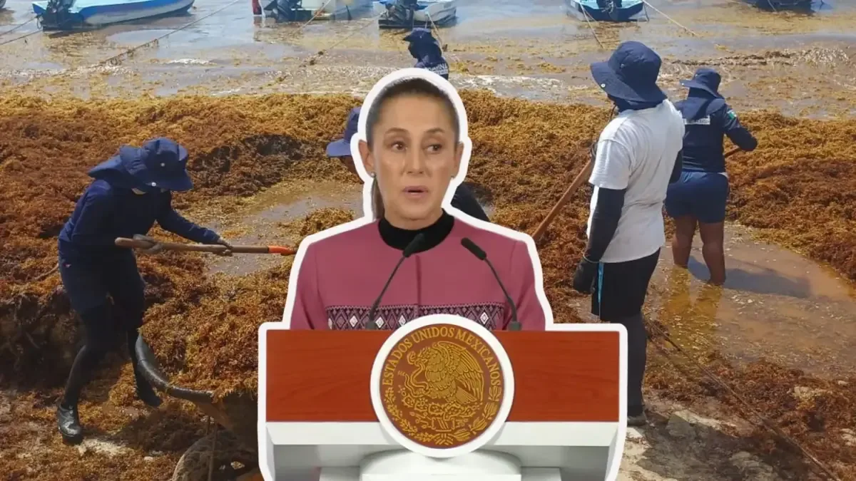 La inversión busca proteger playas y promover la reutilización del sargazo.