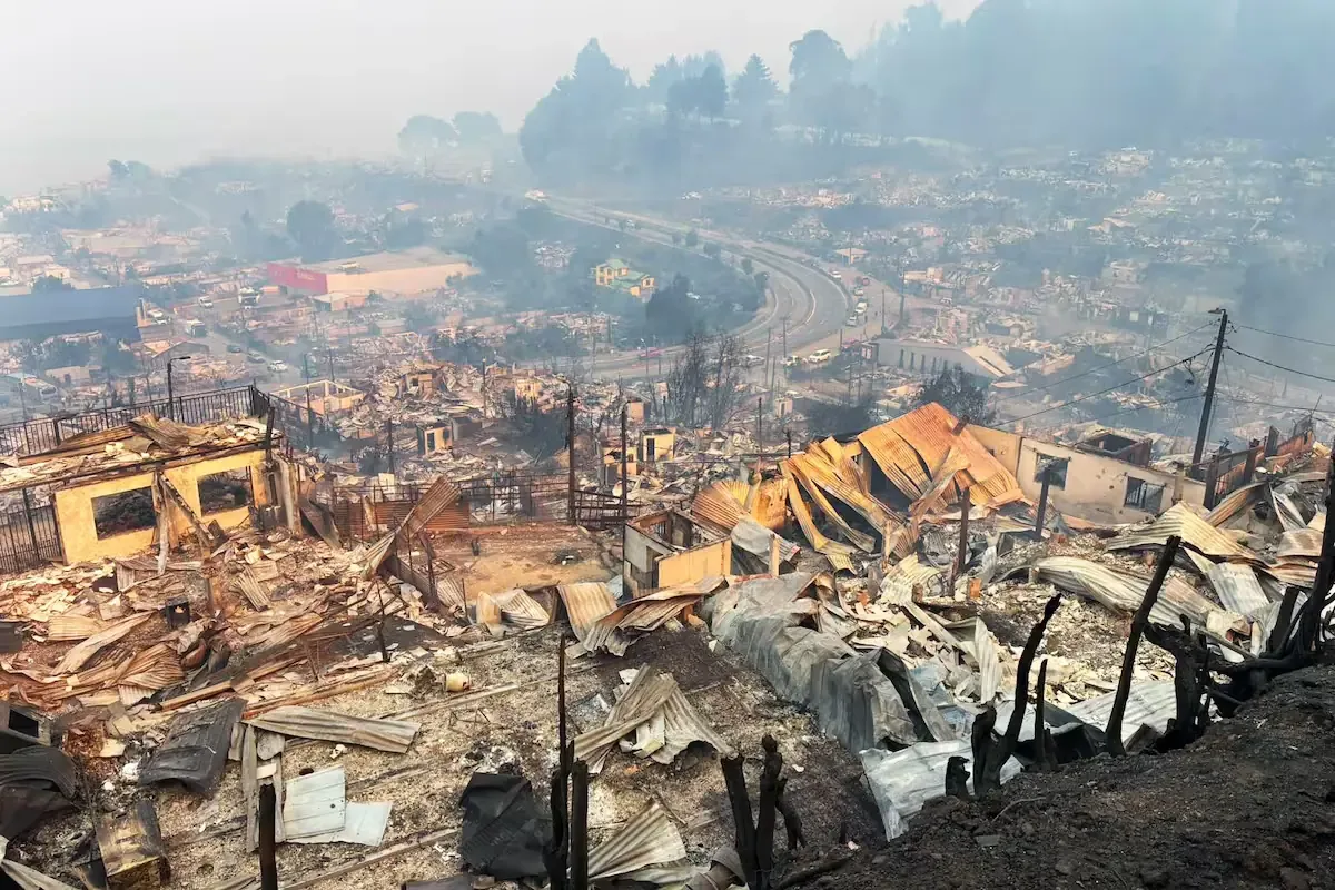 720 familias afectadas por incendios forestales recibirán apoyo económico en Penco.
