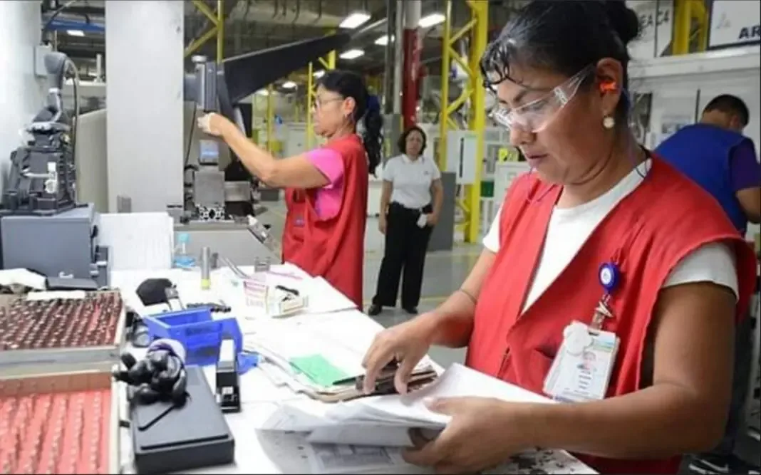 A pesar del incremento en empleos, la mayoría enfrenta condiciones laborales desfavorables.
