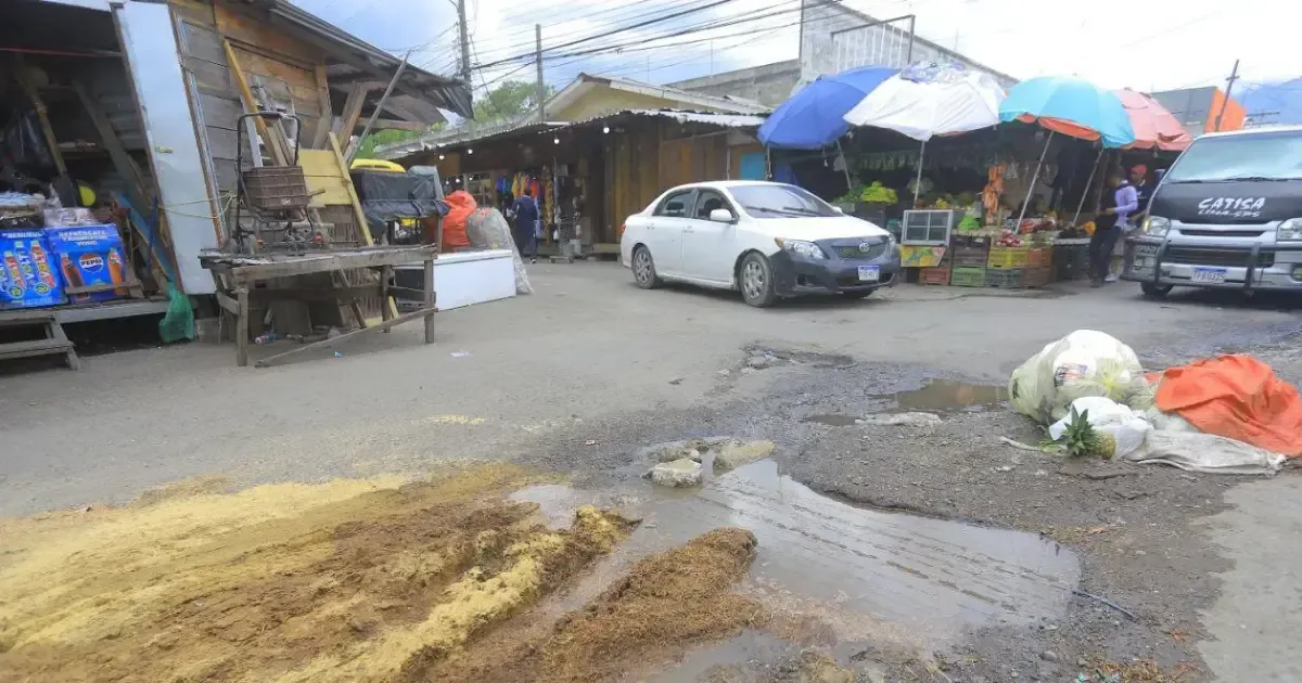 Comerciantes y vecinos de Concepción enfrentan graves problemas de salubridad y vialidad que impactan su actividad económica.