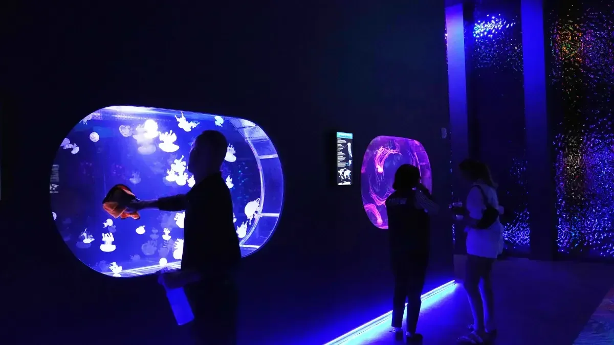 Este museo es el primero en Estados Unidos dedicado exclusivamente a estas fascinantes criaturas marinas.