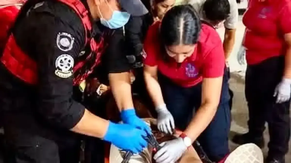 Un accidente vial causa lesiones a una mujer en Playa del Carmen y detención del presunto responsable.