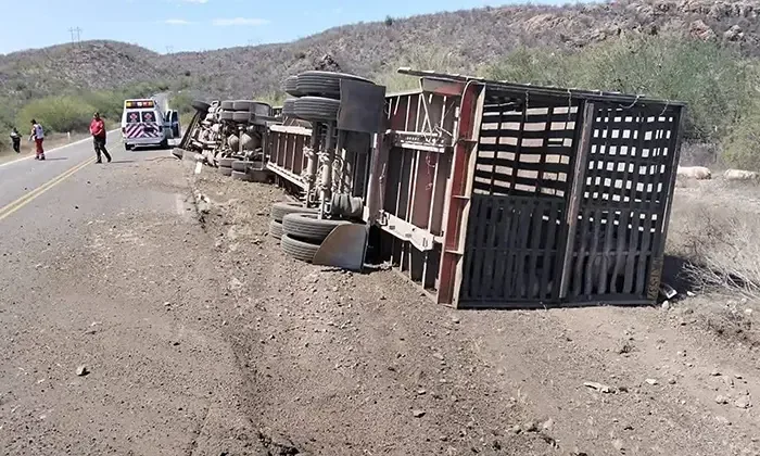 Un volcadura en la Carretera Federal 14 deja daños materiales y pérdidas de ganado.