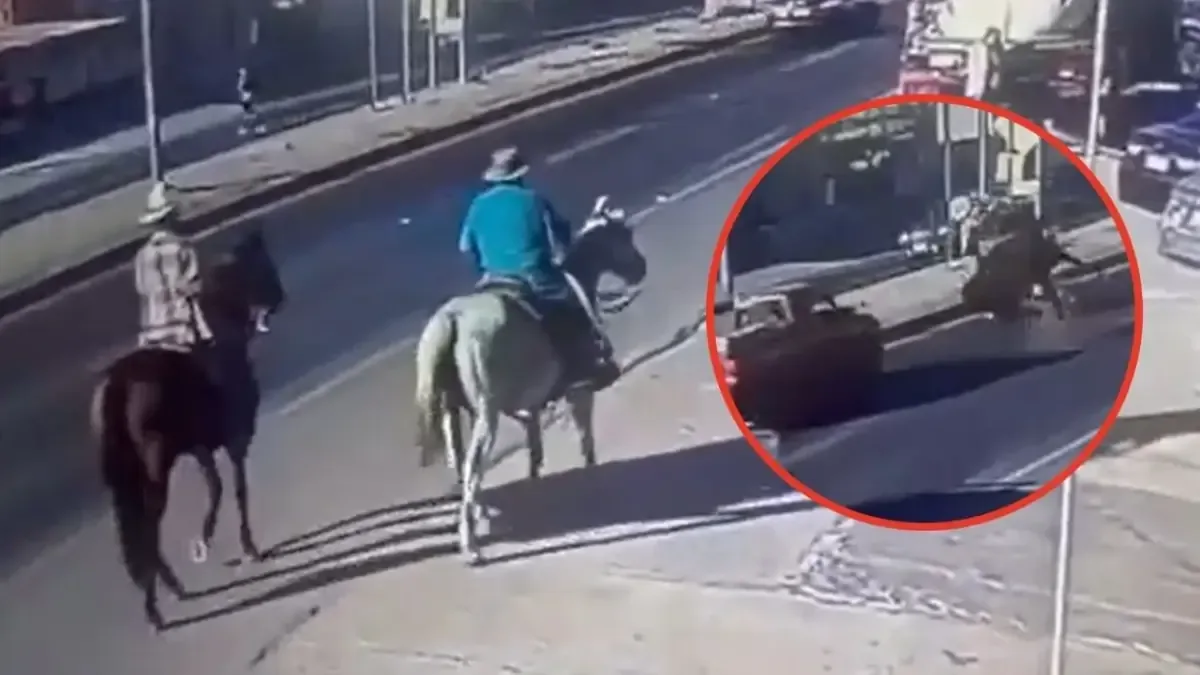 Un accidente viral en Tijuana pone de manifiesto los peligros de los equinos en carreteras.