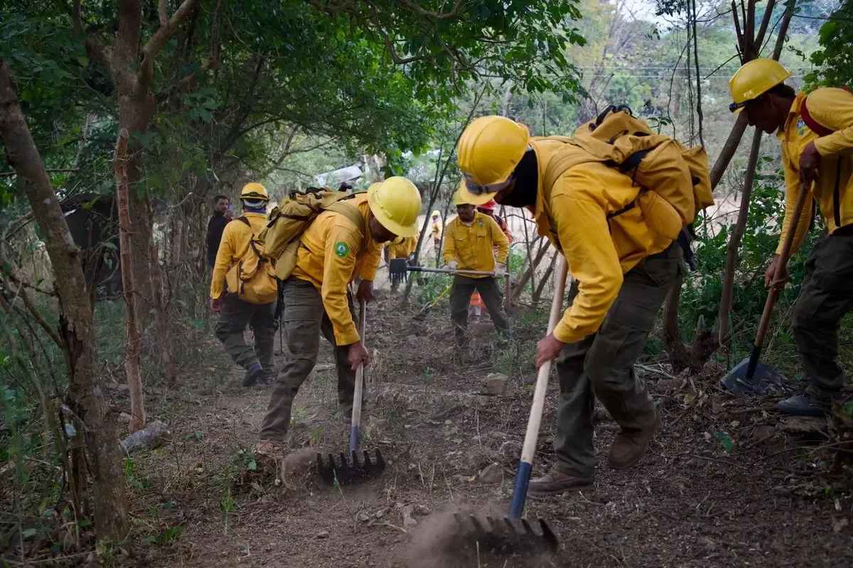 Acciones preventivas contra incendios forestales en Chiapas para 2026.