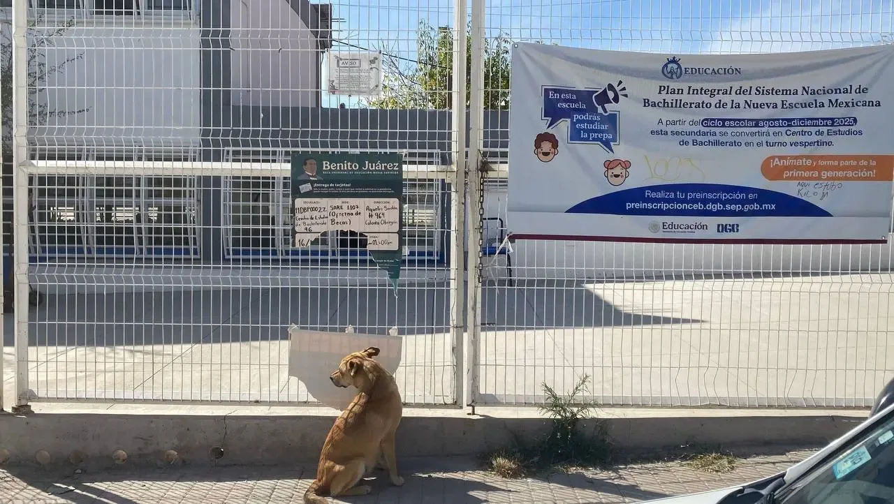Acompañamiento psicológico para la estudiante Denisse al regresar a clases.