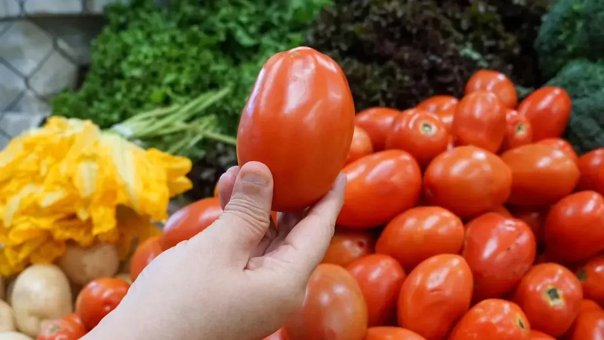 El nuevo acuerdo busca proteger a productores y consumidores ante afectaciones climáticas y de plagas.