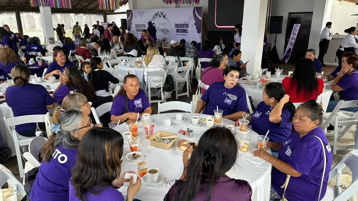 Colectivo Mujeres Morena busca homologar sanciones y erradicar violencia de género en México.