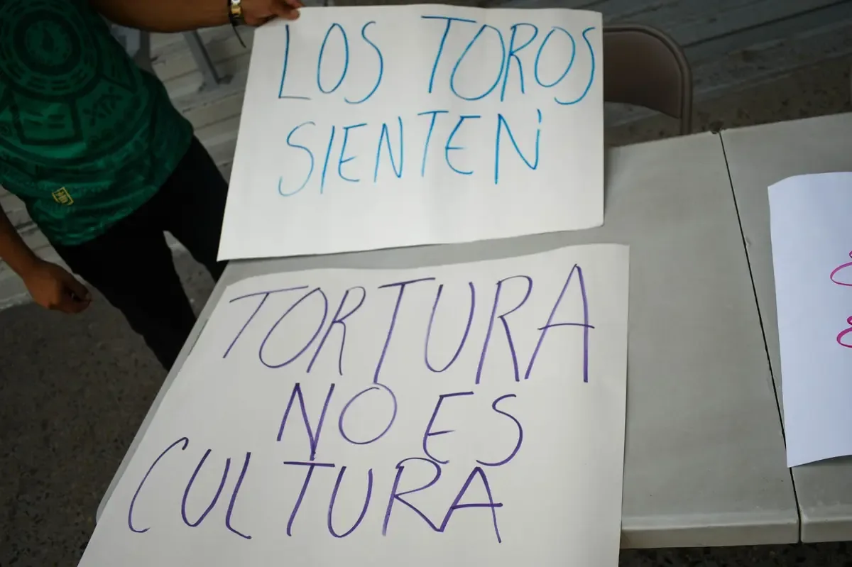 Exigen la suspensión de permisos para eventos taurinos en medio de alegaciones contra autoridades.