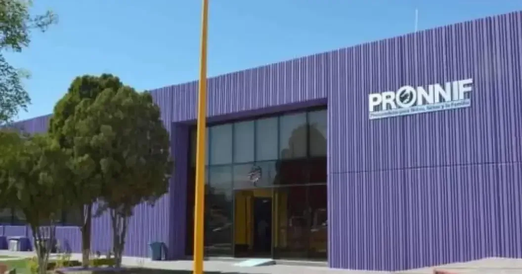 La separación forzada de un niño de su madre genera indignación y exige protección infantil.