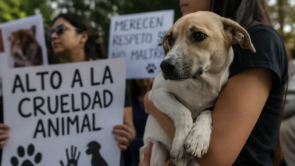 La propuesta surge tras comentarios de un conductor de televisión que incitaron al odio hacia los animales.