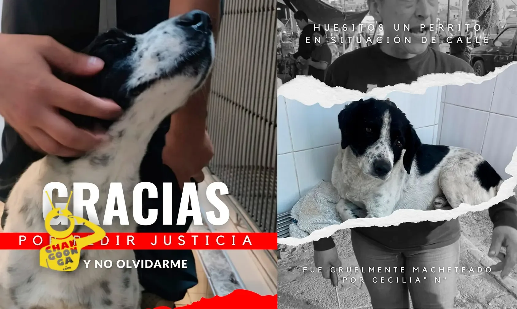Activistas exigen justicia por Huesitos frente al juzgado en Michoacán.