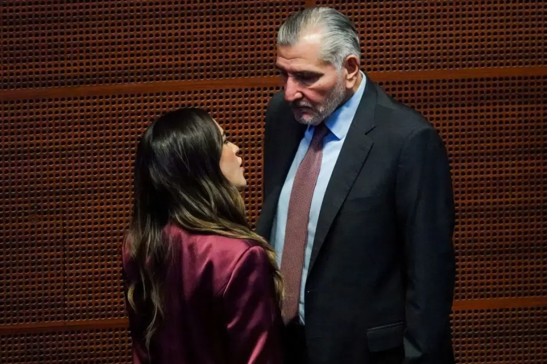 Adán Augusto López Hernández durante una sesión en el Senado.