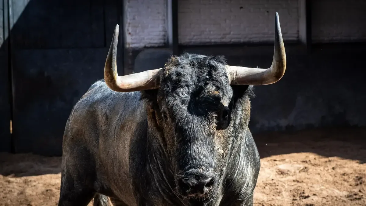Tres destacados toreros se enfrentan a toros notables en la emblemática plaza de Las Ventas.
