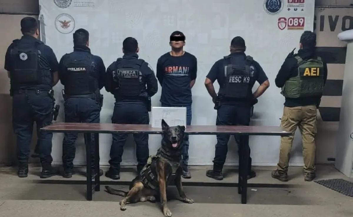 Agente K9 "Kilo" en acción durante el rescate en Mexicali, BC.