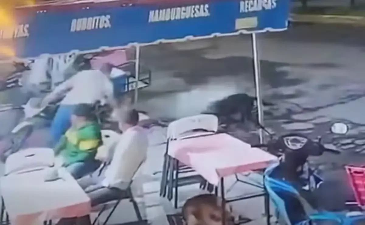 La Fiscalía de Michoacán investiga el maltrato hacia dos perritos y busca justicia.