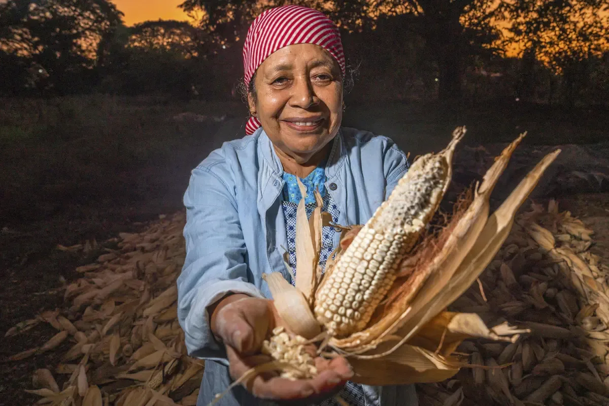 Iniciativa busca disminuir costos de producción y mejorar ingresos de agricultores.
