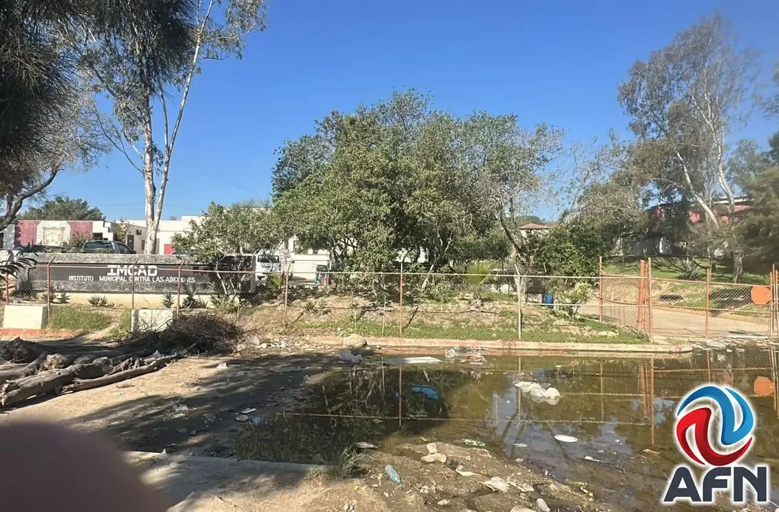 Agua estancada y residuos cerca del IMCAD en Tijuana, BC.