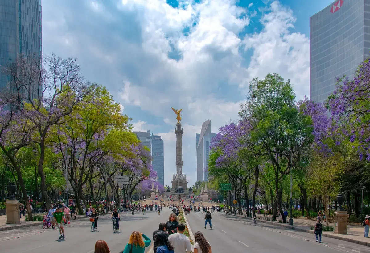 La ciudadanía se une para fortalecer el cuidado ambiental en el estado.