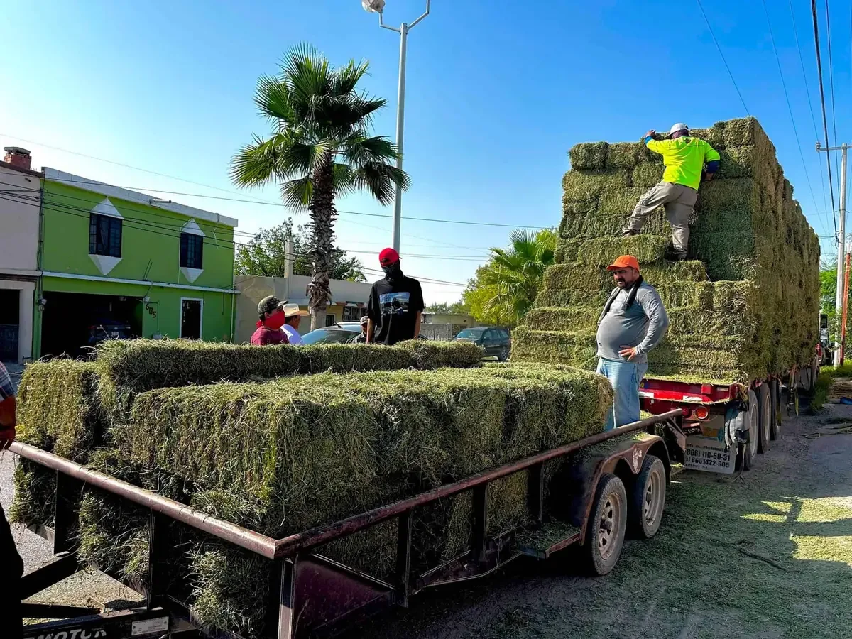 La alcaldesa refuerza el apoyo al sector agropecuario con la entrega de insumos esenciales para los productores locales.