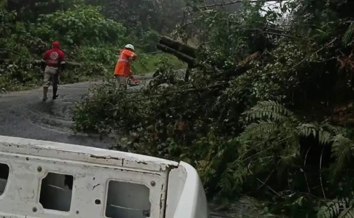 Las lluvias recientes han saturado el suelo en comunidades de la Sierra y Otomí-Tepehua, aumentando el riesgo de deslizamientos.