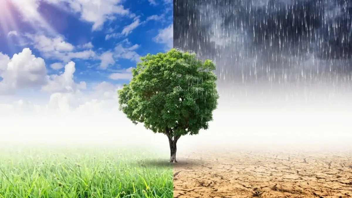 Se prevén temperaturas superiores a 45 °C en varios estados y lluvias fuertes en el norte del país.