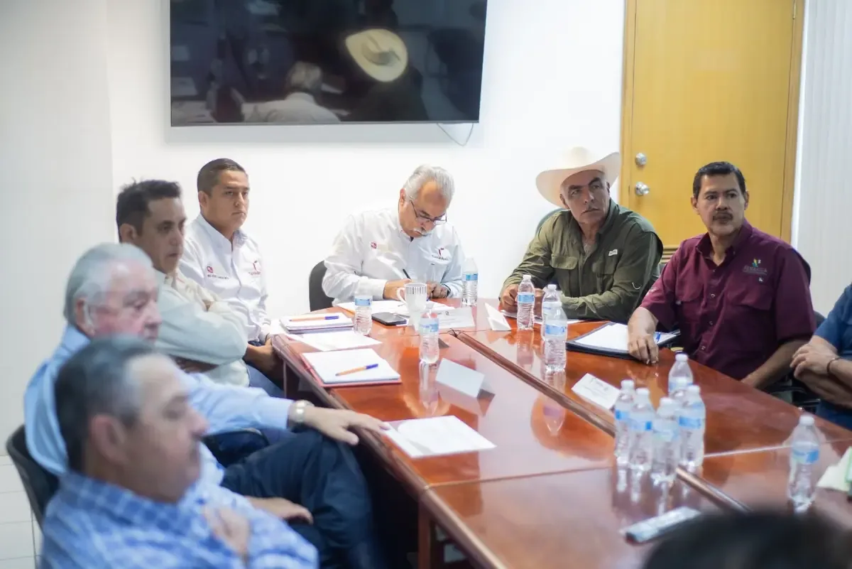 Las autoridades implementan protocolos para erradicar la plaga y proteger la citricultura.