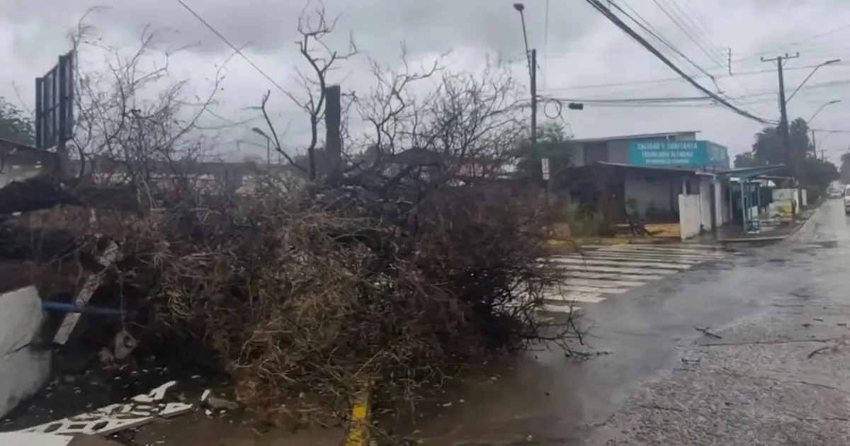 Las fuertes tormentas pueden causar inundaciones y daños en infraestructura.