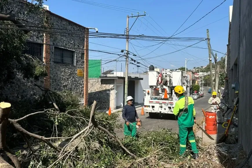 Alertan sobre riesgos tras la caída de árboles y estructuras en la ciudad.