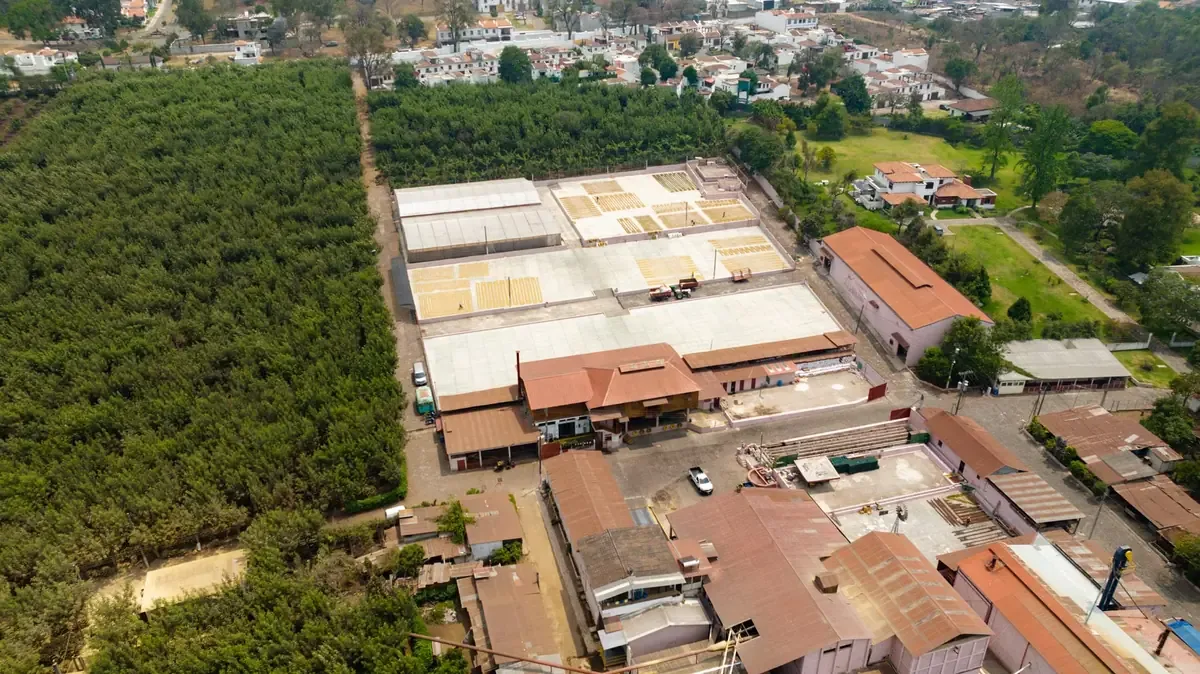 La interacción con el sector productivo busca potenciar la economía y el empleo en Tlaxcala.