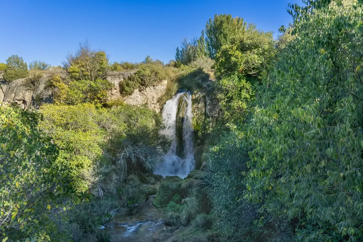 Se busca unir esfuerzos entre gobierno, comunidades y empresarios para preservar la naturaleza y generar empleo.