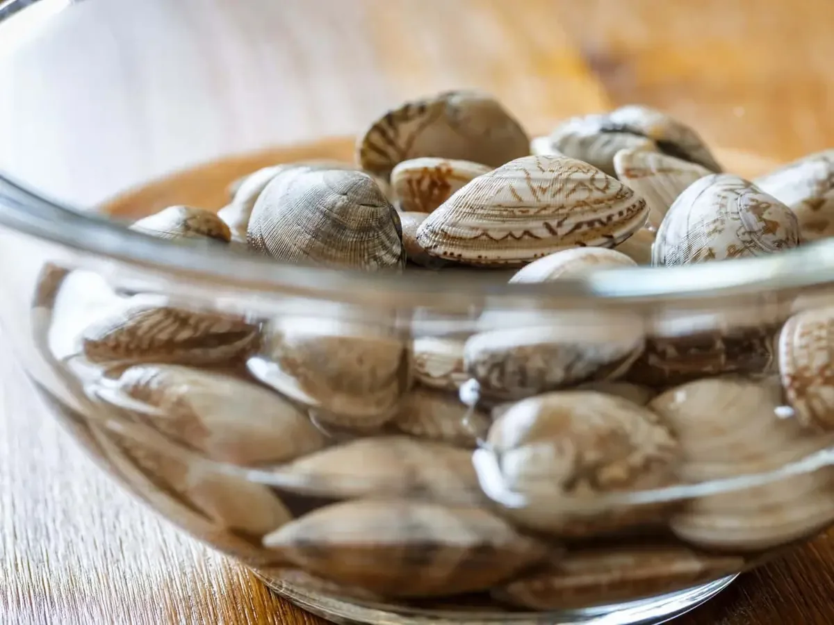 Descubre cómo hacer almejas a la marinera con estos consejos de chefs reconocidos.