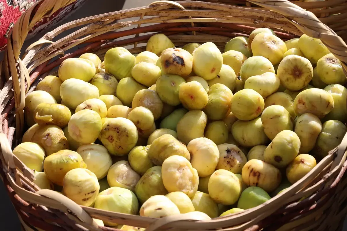 La Feria del Higo promueve la tradición y la innovación en la producción agroalimentaria local.