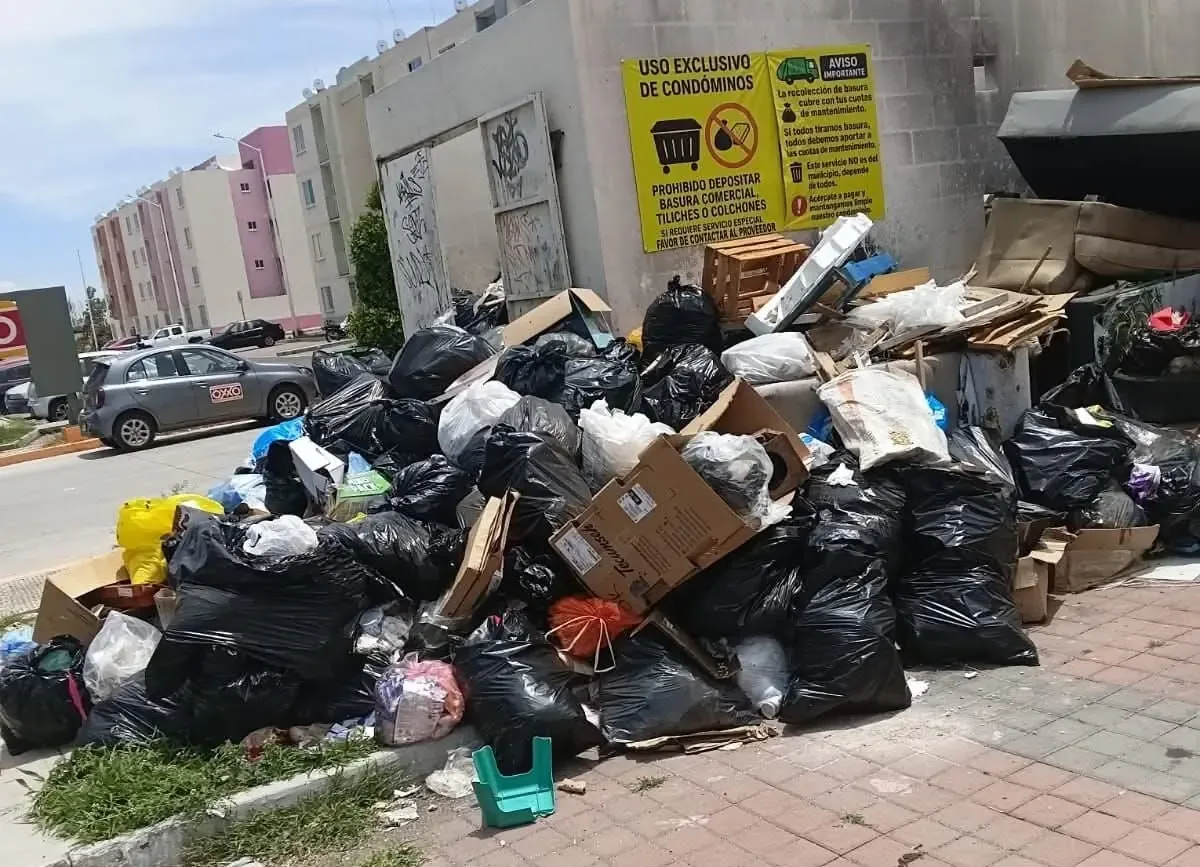 La apertura de una nueva lechería busca atender a comunidades cercanas debido a la gran demanda.