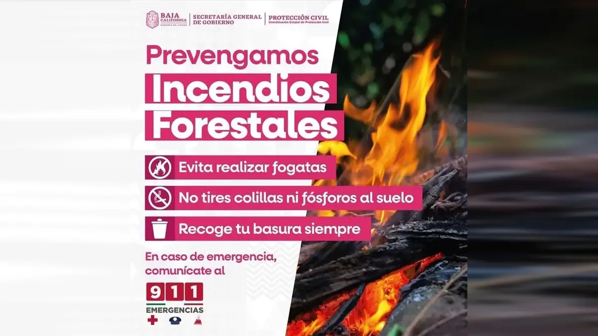 Protección Civil alerta sobre condiciones que favorecen incendios en la región.