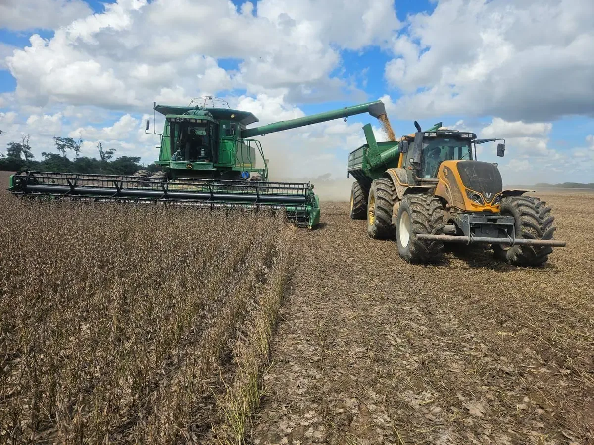 La Asociación de Productores de Oleaginosas y Trigo presenta condiciones para reactivar el sector agrícola y mejorar la economía nacional.