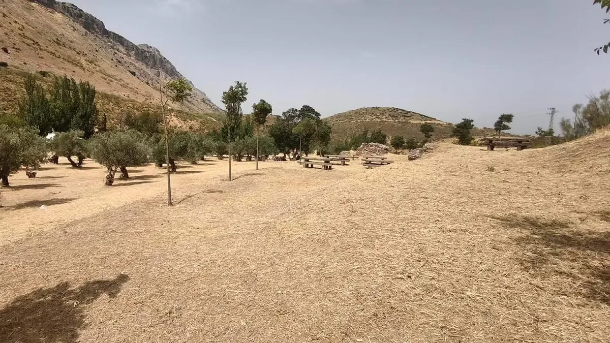 La campaña municipal busca prevenir incendios y mejorar la salud pública en áreas municipales.