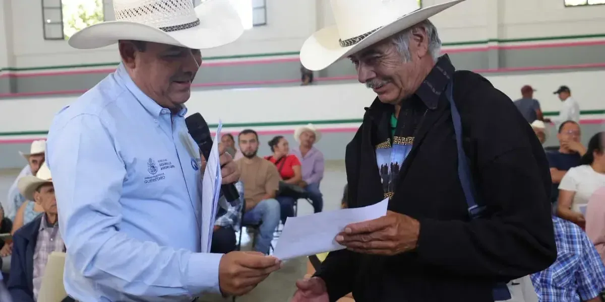 Los nuevos apoyos de SEDEA buscan impulsar la producción en la Sierra Gorda de Querétaro para el año 2026.