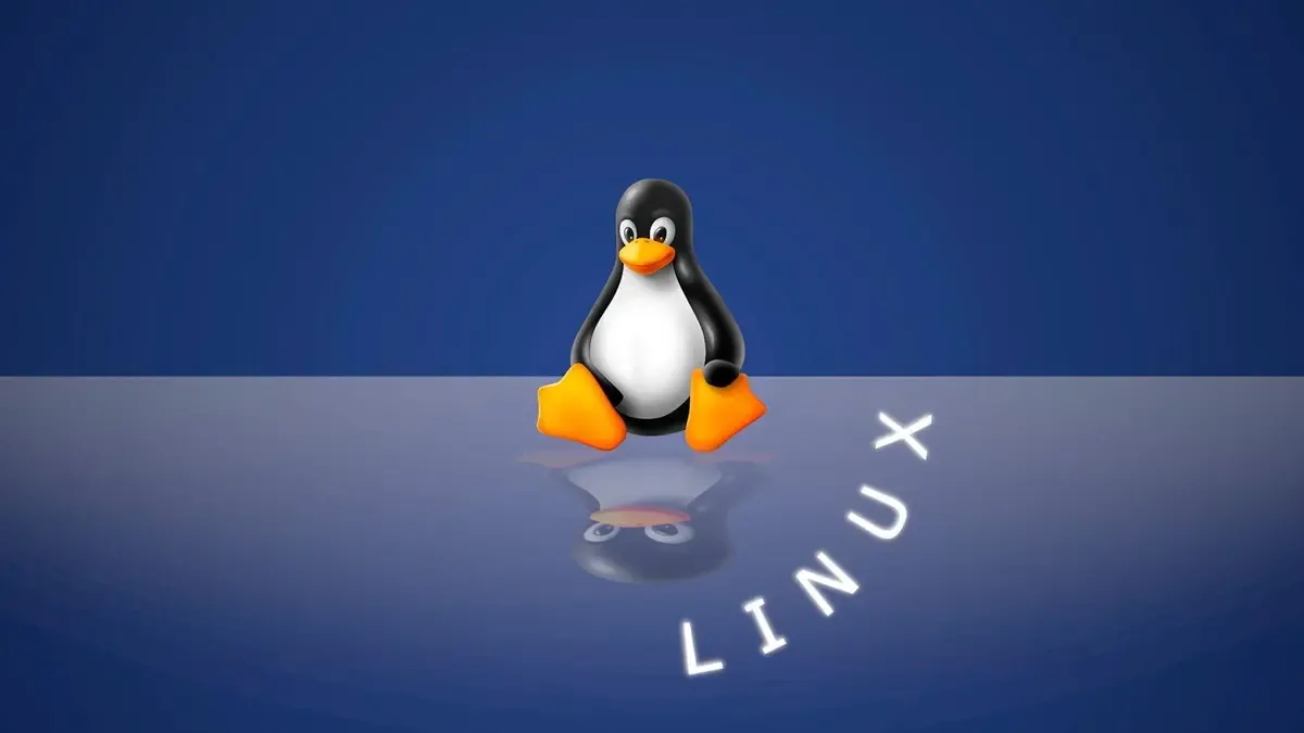 Aprende sobre inodos en Linux y cómo evitar errores de espacio.
