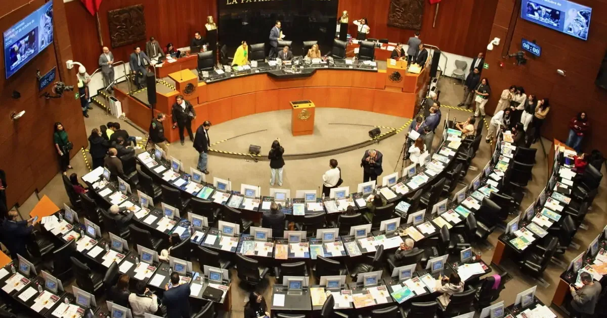 La aprobación de la Ley de Economía Digital genera cuestionamientos sobre su implementación inmediata y su impacto en la informalidad.