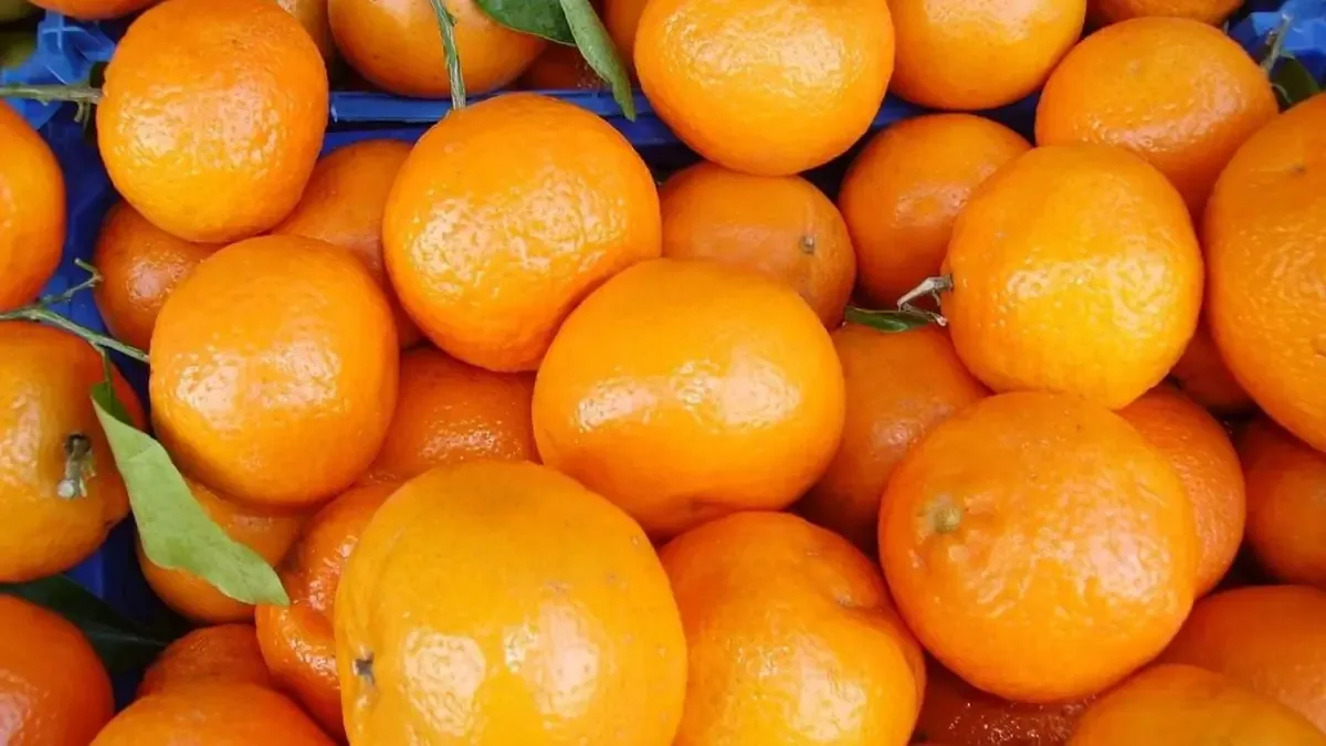 El gobierno busca garantizar el suministro de fruta nacional para los estudiantes.
