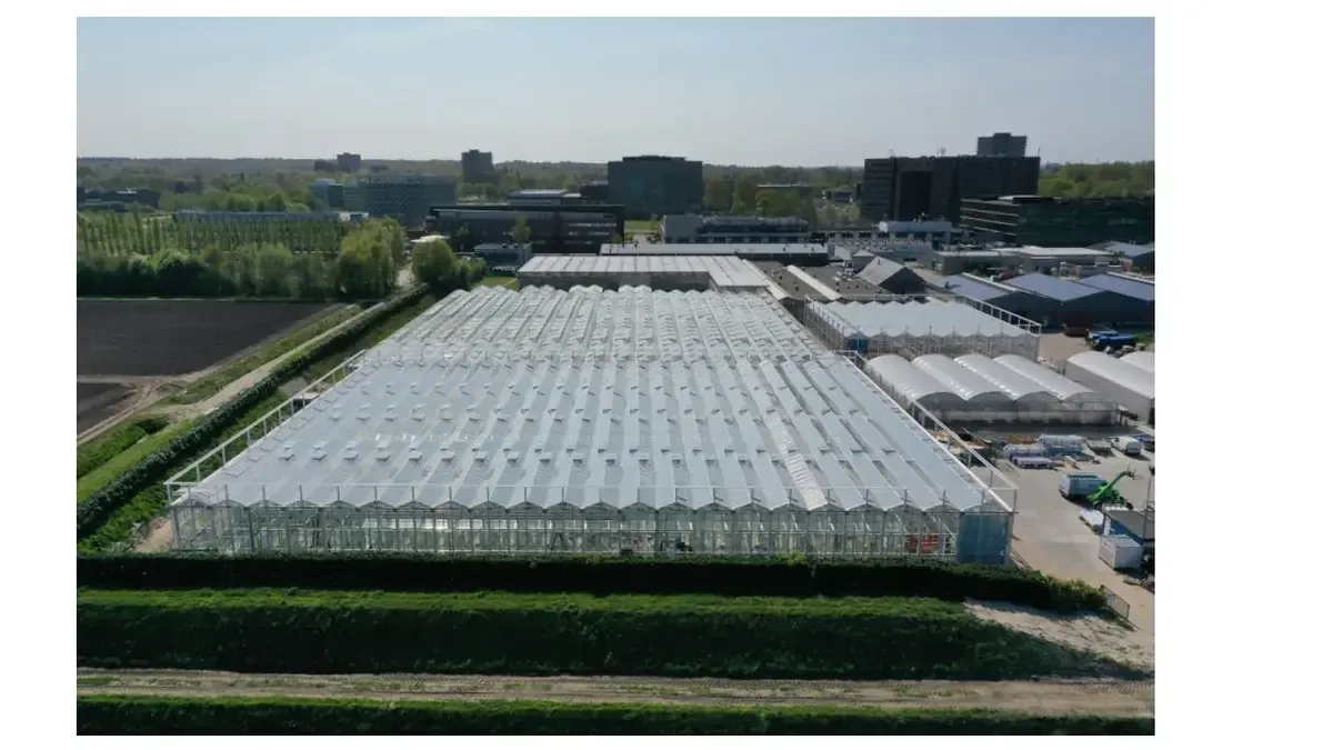Comparar el modelo agrícola de Argentina con el exitoso Food Valley en los Países Bajos puede transformar la producción alimentaria nacional.