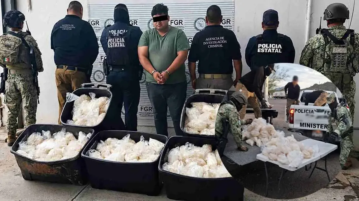 El decomiso evita un impacto económico mayor para los grupos criminales dedicados al narcotráfico.