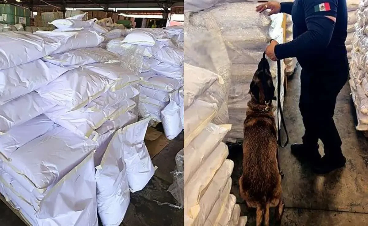 La incautación de ácido tartárico refleja esfuerzos en la lucha contra el narcotráfico en la aduana mexicana.