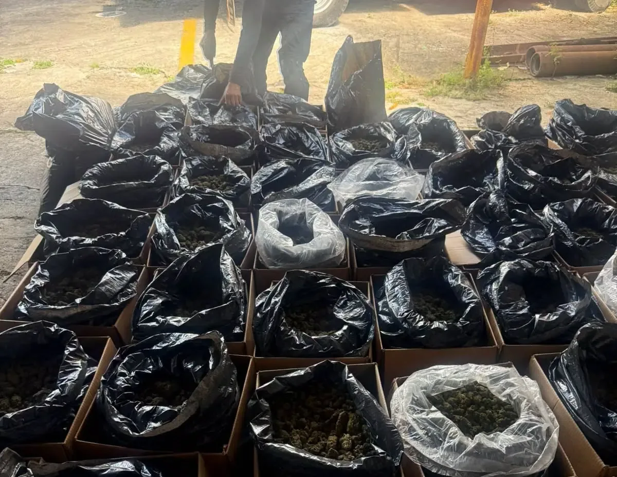 Un operativo de seguridad en Tabasco llevó al aseguramiento de un cargamento significativo de marihuana.