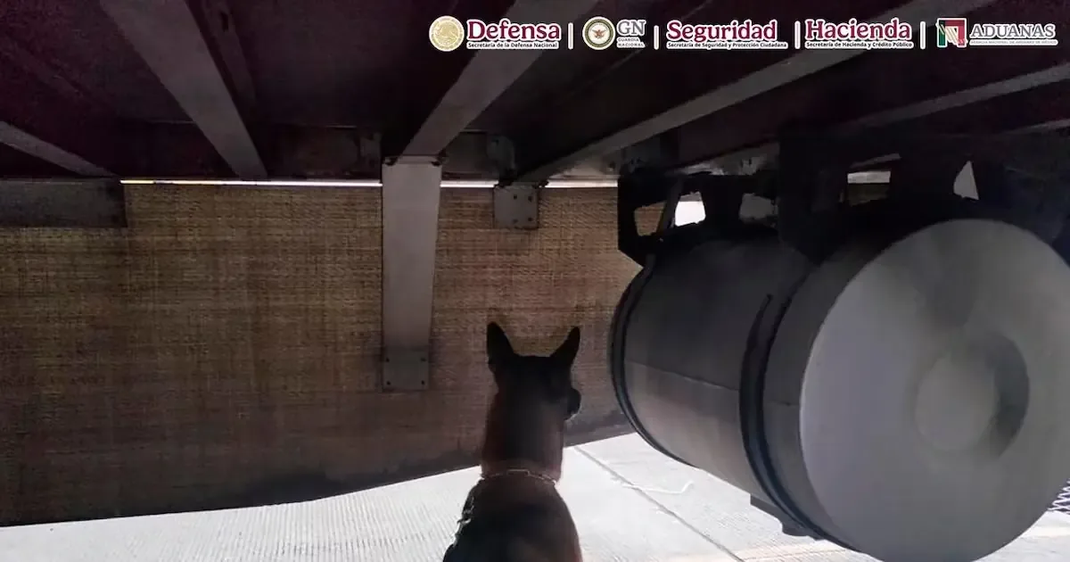 La intervencion de un perro detectó un importante cargamento oculto en un camión comercial en la Aduana de Tijuana.